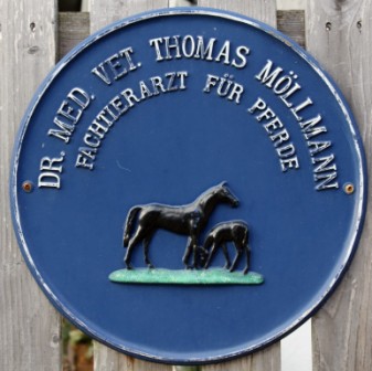 Fachtierarzt fr Pferde
