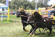 Kutsche