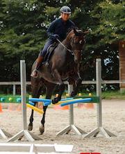 Springen